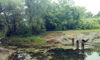 Экологические услуги от ПромМир-Гбх в Губахе - стоимость от 12439 руб.