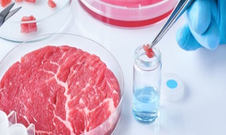 Лабораторный анализ пищевых продуктов по СанПиН в Губахе в октябре