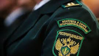 Подготовка к проверке Росприроднадзора в Губахе от ПромМир-Гбх, стоимость услуги от 20732 руб.